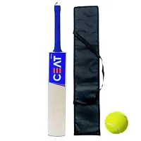 Men's Popular Willow Cricket Bat for Adult All Tennis Ball Size - 06 (Blue, Bat with Ball and Bat Cover)-thumb2