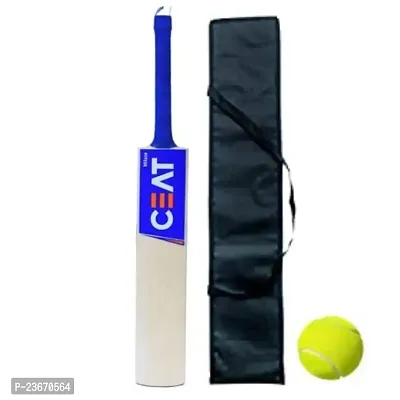 Men's Popular Willow Cricket Bat for Adult All Tennis Ball Size - 06 (Blue, Bat with Ball and Bat Cover)-thumb3
