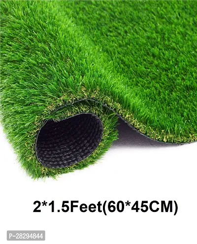 Grass Doormat 25MM-thumb0