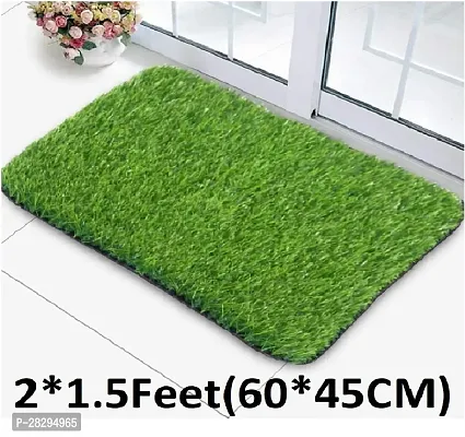 Grass Doormat 25MM-thumb0