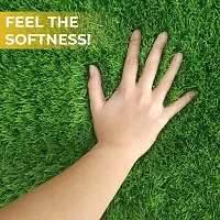 Grass Doormat 25MM-thumb3