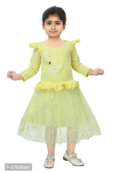 Classic Net Embellished Dresses for Kids Girls