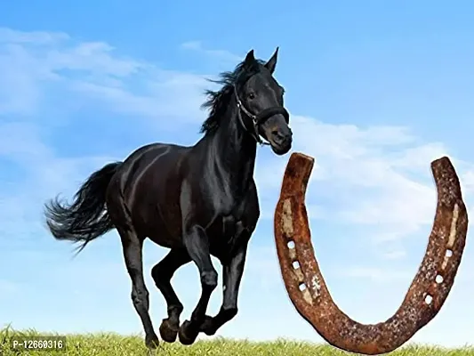 Black Horse Shoe Original for Good Luck and Removal of Vastu Dosh in Home, Office, Shop-thumb0