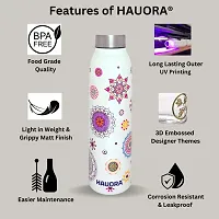 HAUORA? Stainless Steel Water Bottle,3D Embossed UV Printed,Matt Finish|Single Walled|Designer Theme|Suitable for Both Indoor & Outdoor, Leakproof-thumb4