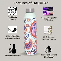 HAUORA? Stainless Steel Water Bottle,3D Embossed UV Printed,Matt Finish|Single Walled|Designer Theme|Suitable for Both Indoor & Outdoor, Leakproof-thumb4