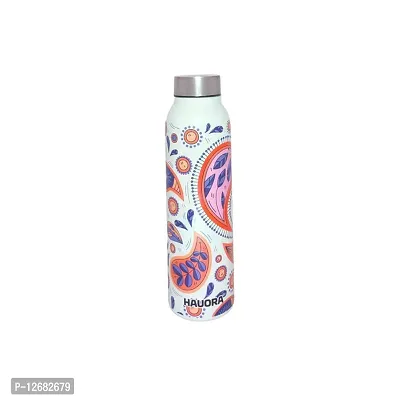 HAUORA? Stainless Steel Water Bottle,3D Embossed UV Printed,Matt Finish|Single Walled|Designer Theme|Suitable for Both Indoor & Outdoor, Leakproof-thumb0