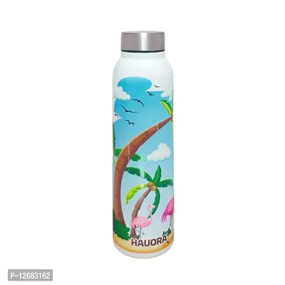 HAUORA? Stainless Steel Water Bottle,3D Embossed UV Printed,Matt Finish|Single Walled|Designer Theme|Suitable for Both Indoor  Outdoor, Leakproof-thumb0