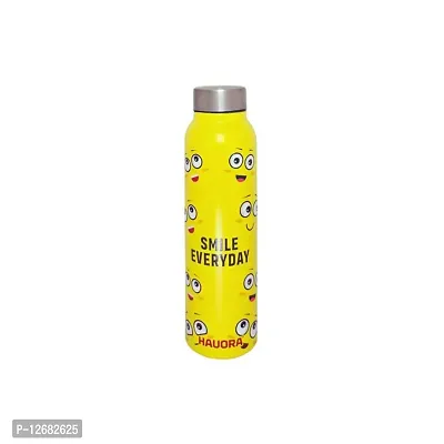 HAUORA? Stainless Steel Water Bottle,3D Embossed UV Printed,Matt Finish|Single Walled|Designer Theme|Suitable for Both Indoor & Outdoor, Leakproof-thumb0