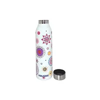 HAUORA? Stainless Steel Water Bottle,3D Embossed UV Printed,Matt Finish|Single Walled|Designer Theme|Suitable for Both Indoor & Outdoor, Leakproof-thumb1