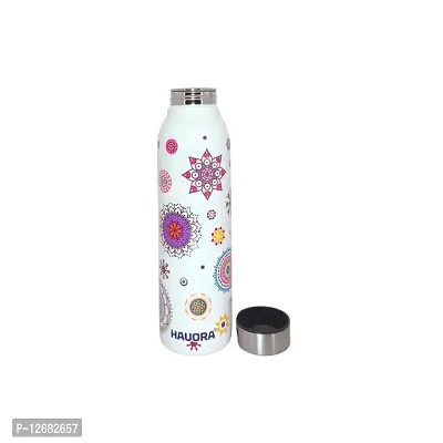 HAUORA? Stainless Steel Water Bottle,3D Embossed UV Printed,Matt Finish|Single Walled|Designer Theme|Suitable for Both Indoor & Outdoor, Leakproof-thumb2