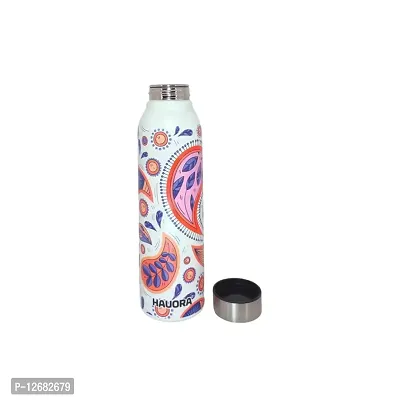 HAUORA? Stainless Steel Water Bottle,3D Embossed UV Printed,Matt Finish|Single Walled|Designer Theme|Suitable for Both Indoor & Outdoor, Leakproof-thumb2