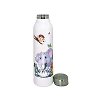 HAUORA? Stainless Steel Water Bottle,3D Embossed UV Printed,Matt Finish|Single Walled|Designer Theme|Suitable for Both Indoor  Outdoor, Leakproof-thumb2