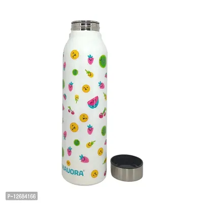 HAUORA? Stainless Steel Water Bottle,3D Embossed UV Printed,Matt Finish| Single Walled| Designer Theme| Suitable for both Indoor  Outdoor, Leakproof,1000ml (Fruits Multicolor (W), 1)-thumb0