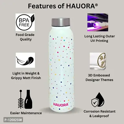 HAUORA? Stainless Steel Water Bottle,3D Embossed UV Printed,Matt Finish|Single Walled|Designer Theme|Suitable for Both Indoor  Outdoor, Leakproof-thumb3