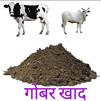 Naturally Healthy Khad For Plant Cow-thumb1