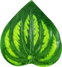 Real Pbr Artificial Fancy Wall Hanging Garland Money Plant Leaf Pack Of 12 Strings-thumb1