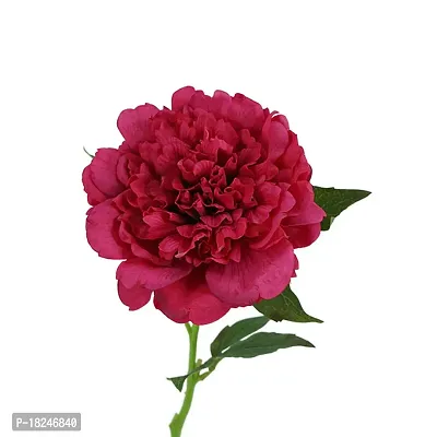 Real Pbr Artificial Flowers Real Touch Peony For Home Wedding Decoration Peony Flower Pack Of 1