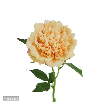 Real Pbr Artificial Flowers Real Touch Peony For Home Wedding Decoration Peony Flower Pack Of 1