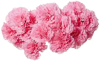 Real Pbr Beautiful Decorative Artificial Carnation Flower Bouquet For Home Decor 50 Cm Tall 18 Flower Stems Bay Pink-thumb1