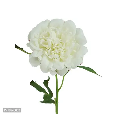 Real Pbr Artificial Flowers Real Touch Peony For Home Wedding Decoration Peony Flower Pack Of 1