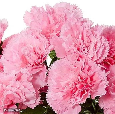 Real Pbr Beautiful Decorative Artificial Carnation Flower Bouquet For Home Decor 50 Cm Tall 18 Flower Stems Bay Pink-thumb4