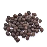 Hind Home Kamal Gattta Seed/Manke Seed for Puja and Religious Use Natural Raw Lotus Seed for Laxmi Havan  Pujan Pack of 101 Seeds-thumb1