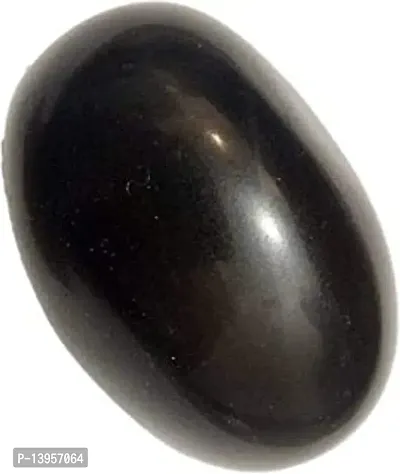 Natural Black Stone Shaligram for Pooja Shaligram Crystal Yantranbsp;nbsp;(Pack of 1)