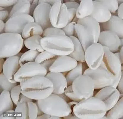 SS Mart White Cowrie/Kaudi/Kawri/Kori Sea Shell For Puja And Multi Purpose Uses (51 Pcs)