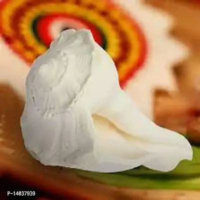 Dakshinavarti Shankh Original Valampuri Sangu Dakshin Mukhi Shankh for Pooja Pure White