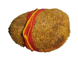 SS MART Original Ekakshi/Ekakshee Nariyal/One Eye Coconut For Pooja-thumb1