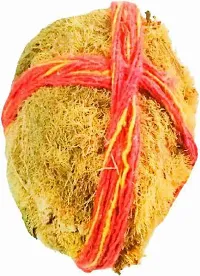 Original Ekakshi/Ekakshee Nariyal/One Eye Coconut For Pooja-thumb1