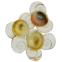 Faynci Gomati Chakra Set of 11 Off White |Puja Samagri for Goddess Laxmi (2 x 2 cm)-thumb1