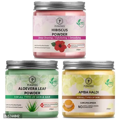 Puranex Pure  Natural Hibiscus Powder  Aloevera Leaf Powder  Amba Haldi Powder - 100gm (Combo Pack of 3) 300gm