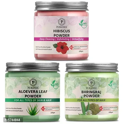 Puranex Pure  Natural Hibiscus Powder  Aloevera Leaf Powder  Bhringraj Powder - 100gm (Combo Pack of 3) 300gm