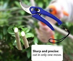 NN Assorted Hand Pruner Cutter - 1 Pc (Steel Blades) Heavy Duty Gardening Cutter Tool | Plant Cutter for Home Garden | Wood Branch Trimmer | Grass Cutting Accessory-thumb1