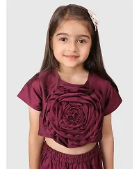 Beautiful Half Sleeves Flower Applique Solid Top And Palazzo For Baby Girls-thumb4