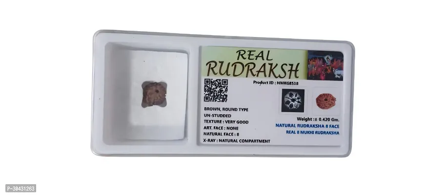 Classic 8 Mukhi Rudraksha For Men and Women-thumb3