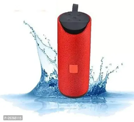 TG-113 10 Watt Wireless Bluetooth Portable Speaker (Multicolour)