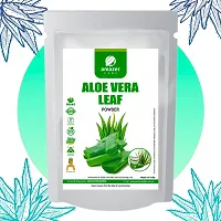 AmazerCare Aloe Vera Powder 100% Natural, Whole Leaf powder for moisturizing, healing, soothing Face Pack / Hair Care, 1 Pouch-thumb4