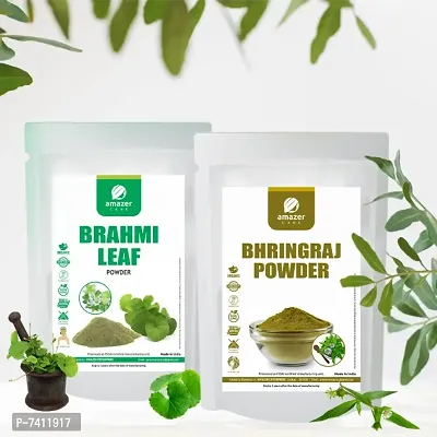 AmazerCare Bhringraj  Brahmi Powder Hair Care Combo 100% Natural Brahmi Bhringraj Powder (125gm + 200gm, 2 Zipper Pouches)