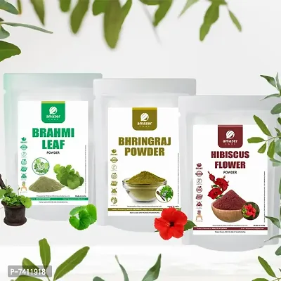 AmazerCare Hibiscus, Bhringraj  Brahmi Powder Hair Care Combo 100% Natural Brahmi Bhringraj HIbiscus Powder (3 Pouches) for Healthy Hair