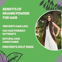 AmazerCare Bhringraj  Brahmi Powder Hair Care Combo 100% Natural Brahmi Bhringraj Powder (125gm + 200gm, 2 Zipper Pouches)-thumb1