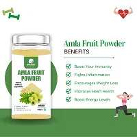 AmazerCare Amla  Beetroot Powder Combo (Dehydrated, 200gm Jar each) - Super Detox  Immune Booster Combo, Pure  Natural For Eating  Drink, For Healthy Liver, Full of Nutrients-thumb4