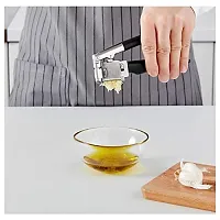 Ikea 365+ Vauml;rdefull Garlic Press-thumb1