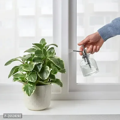 Ikea Plant Mister, Clear Glass 25Cl-thumb2