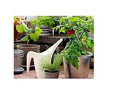 IKEA Ps Watering Cans Spring 2016 (Fashion White)-thumb1