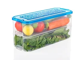 2000 ML - Pack of 2  Fridge Storage Boxes for Vegetables Fridge Organizers Case Refrigerator Containers for Fridge Plastic Fridge Storage Boxes Set for Fish, Meat, Sea Food Multicolor-thumb1