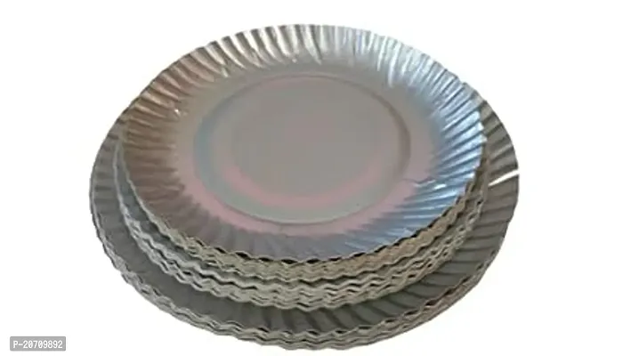 Food Plates for Breakfast Lunch Dinner Party Disposable