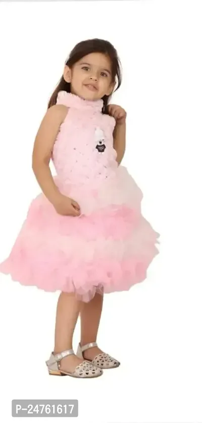 FB Empire Girls' NetCasual Knee Length Dress (B005P)