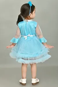 FB Empire Girls' NetCasual Knee Length Dress (M001)-thumb3